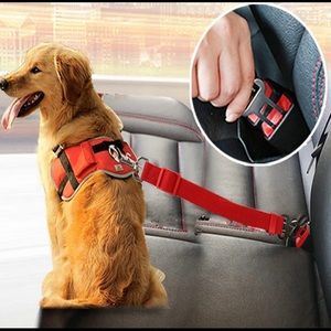 🐾 Seat Belt Leash Clip 🐾